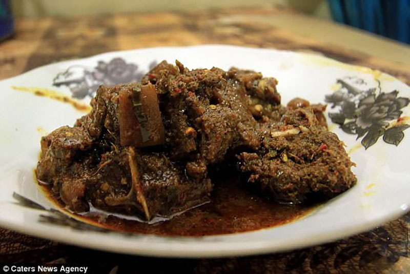 Hình ảnh rùng rợn trong những trang trại thịt chó: Nỗi đau của những chú chó phải chứng kiến cái chết của đồng loại